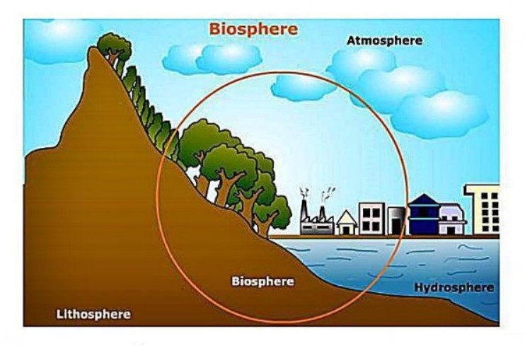 biosfer